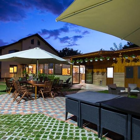 Vila Dumitrana ภายนอก รูปภาพ
